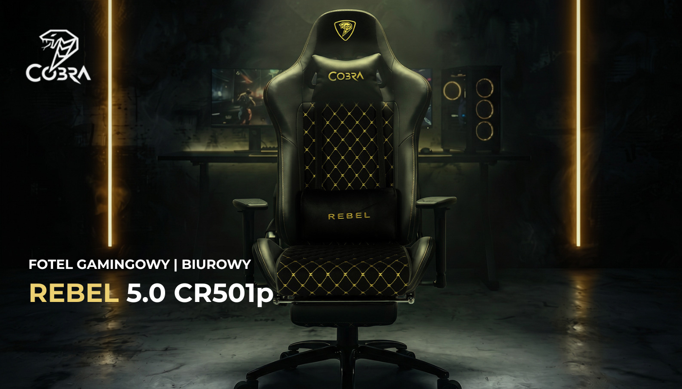 CR501_1